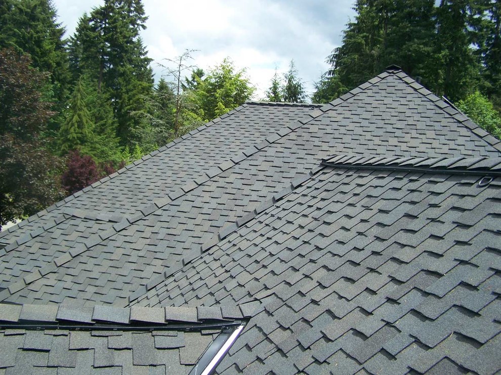 Architectural shingle roof with multiple ridges against a forested background
